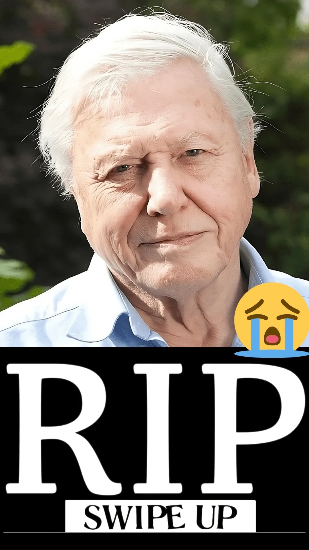 SIR DAVID ATTENBOROUGH’S TRAGIC STRUGGLE! – Viral in Moon